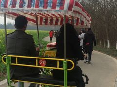 -桤木河湿地公园