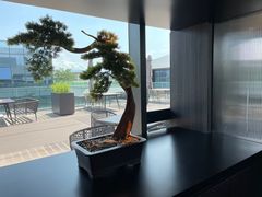 -晓长安·新陕菜(曲江店)