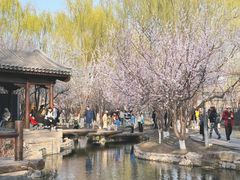 -三里河公园