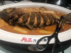 -阿五黄河大鲤鱼(英协路店)