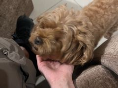 -巧手推拿中心(盲人推拿)