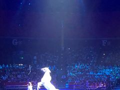 -珠海横琴长隆《卡卡虎奇遇记》