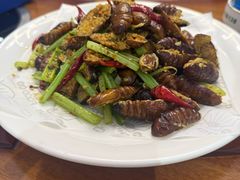 -小海丁
