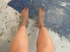 -水晶之星洗浴温泉汗蒸