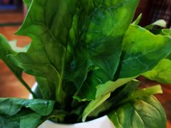 菠菜-安缘斋涮肉