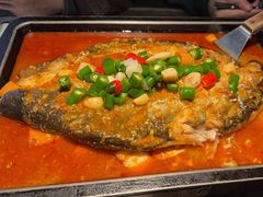 -炉鱼(亲橙里店)