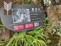 -梭布垭石林景区