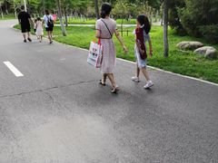 -长白岛森林公园