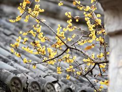 -宁波市保国寺古建筑博物馆