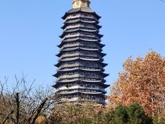 -红梅公园