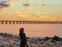 -宝安西湾红树林湿地公园