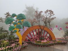 -南山植物园