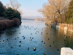 -颐和园