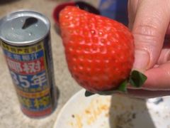 -初色海鲜自助(万丰路店)