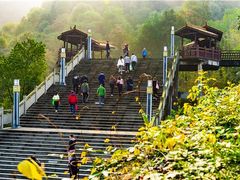 -铁山坪森林公园