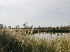 -黄沙古渡原生态旅游区