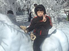 -沈阳奥体冰雪嘉年华