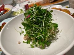 清炒豆苗-醉辉皇上海之巅(上海中心大厦店)