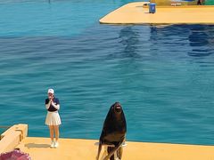 -秦皇岛乐岛海洋王国