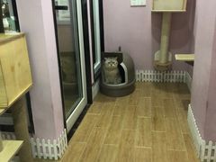 -联合动物医院(光谷诊疗中心)