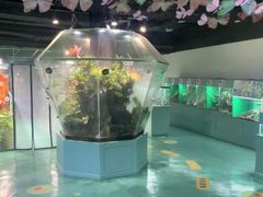 -上海大自然野生昆虫馆(东方明珠·爬宠昆虫探索中心)