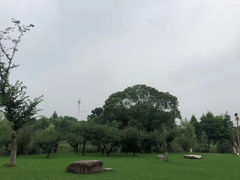 -长田漾湿地公园