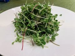 -新黄埭大酒店丨宴会厅(润元路店)