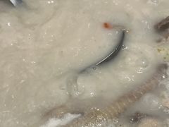-若爱猪肚鸡·啫啫煲(循礼门M+店)