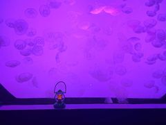 -沈阳海洋探索中心