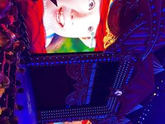 -珠海横琴长隆《卡卡虎奇遇记》