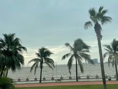 -港珠澳大桥(珠海段)