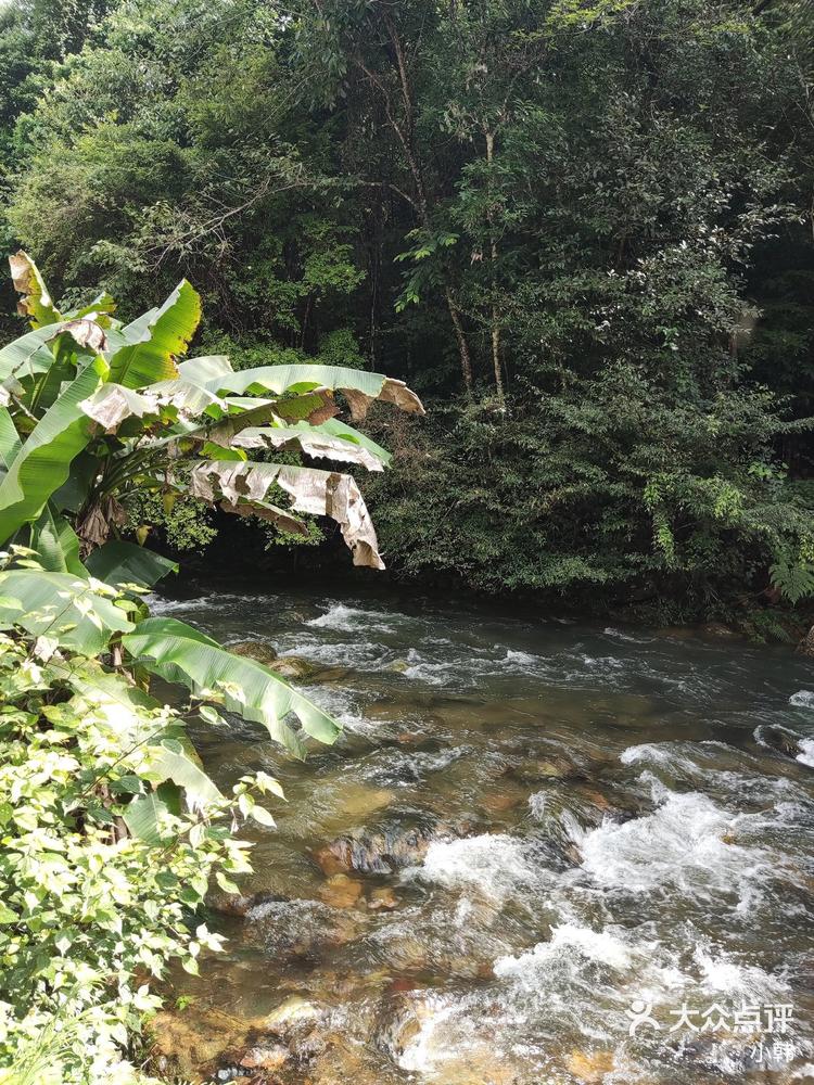 九阜山生态旅游景区图片