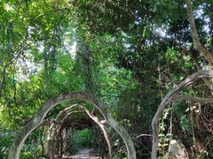-广西壮族自治区药用植物园