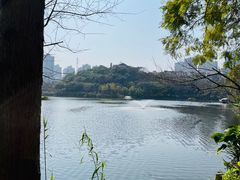 -重庆彩云湖湿地公园