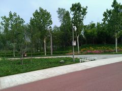 -武清南湖绿博园