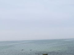 -海岛日记(养马岛店)