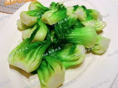 清炒小青菜-肥仔文澳门猪骨煲(南京西路店)