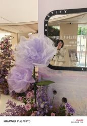 -SALON DE VANHADA