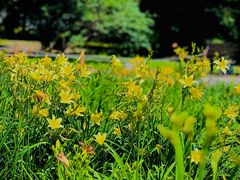 -国家植物园南园