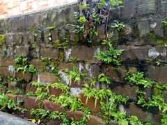 -东寨港红树林旅游区