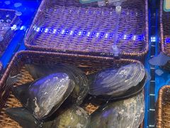 -北李·海肠捞饭·大连菜(望京凯德MALL店)