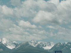 -茉酸奶(松江开元地中海店)