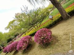 -新虹桥中心花园