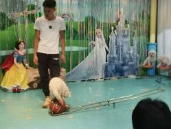 -酷嗒动物文化乐园(cutezoo西溪乐天城店)