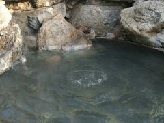 -仁爱团泊湖温泉中心