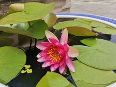 -西安市广仁寺