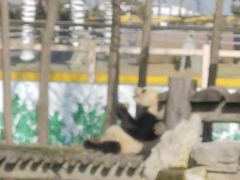 -西霞口神雕山野生动物世界