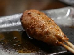 鸡肉丸子-串鑫