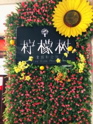 点击看大图 -童趣自然光儿童摄影工作室