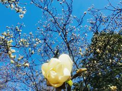 -木塔寺遗址生态公园